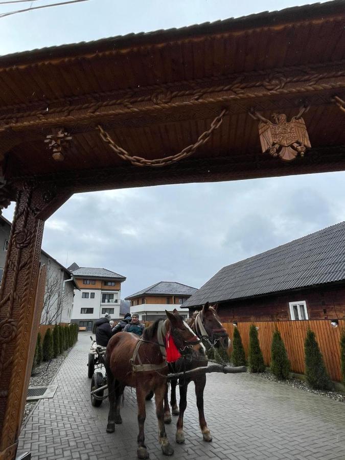 Pensiunea Maramures Guesthouse Viseu de Jos Buitenkant foto